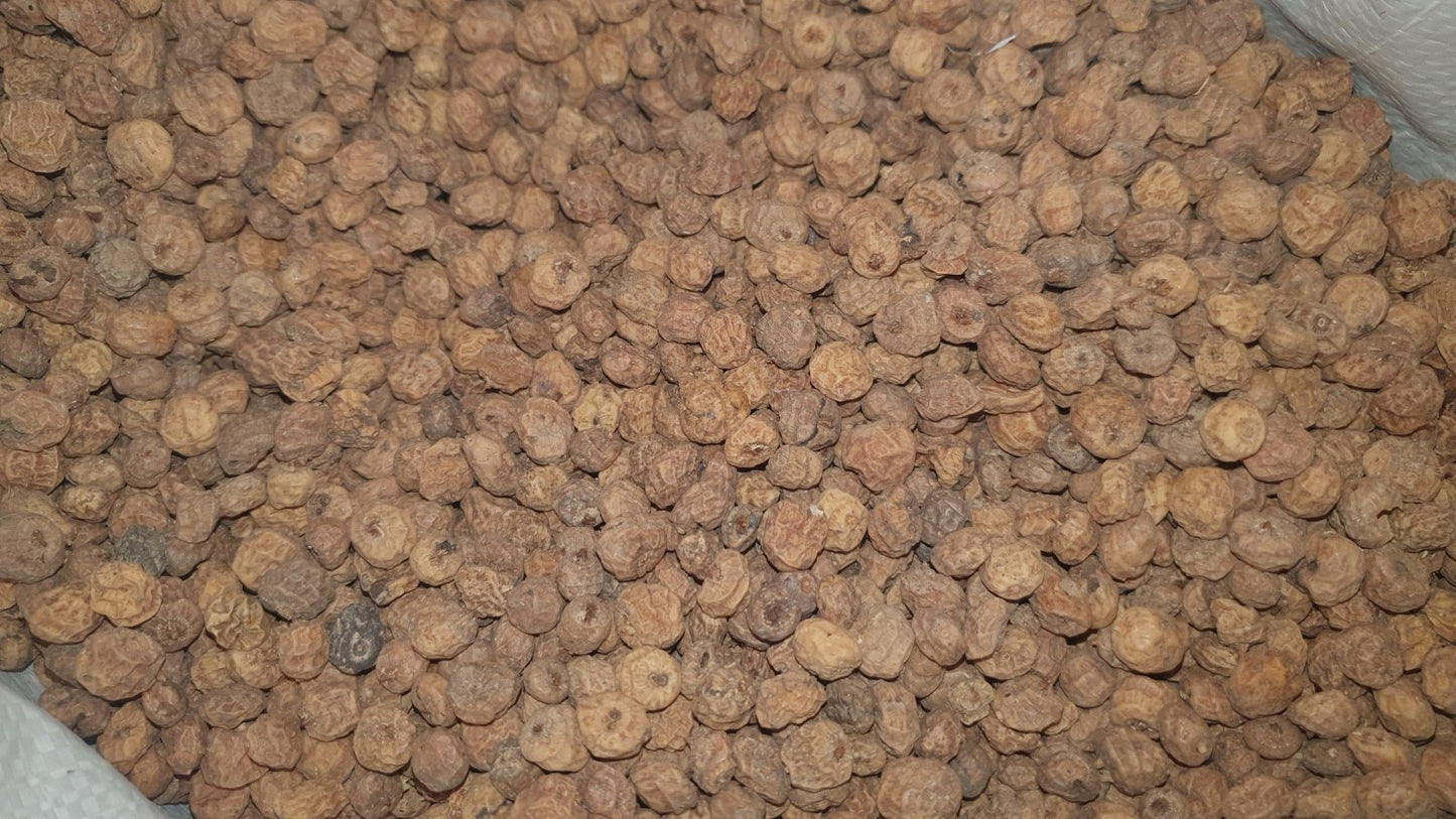 Tiger Nuts