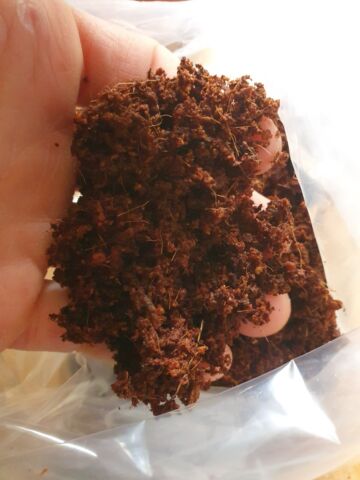 Ready to Use Coco Coir Fibre Substrate - Great Terrarium Humidity Reptile Frog Spider