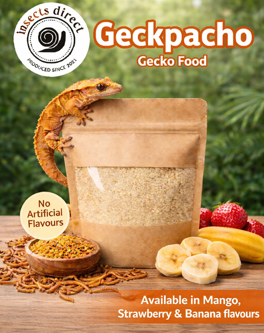 Gecko food