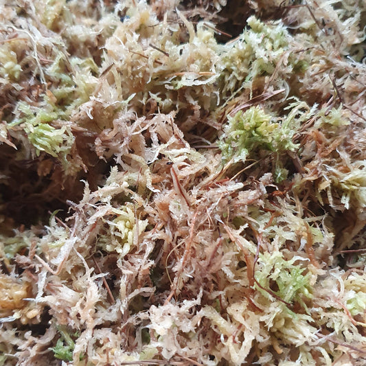 Insectsdirect Sphagnum Moss
