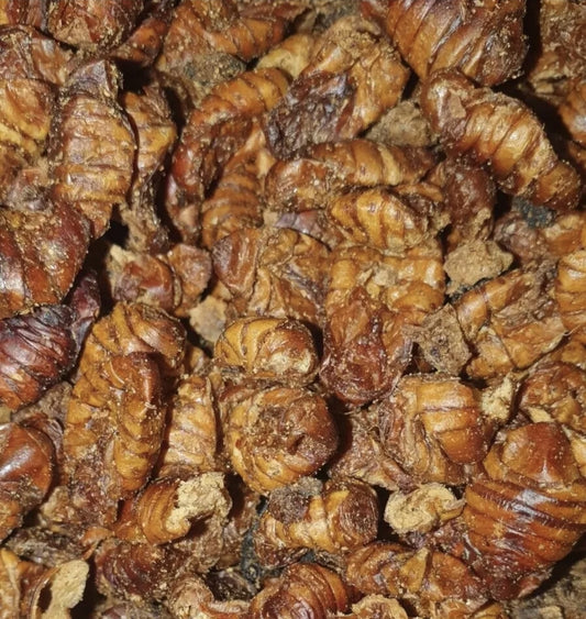 Dried Silkworm Pupae