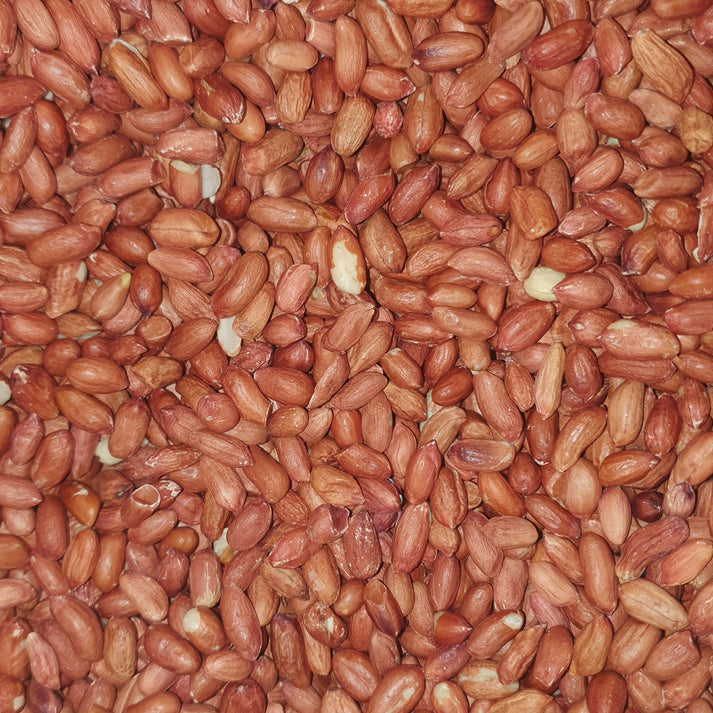 Whole Peanuts Red Skin for Birds – insectsdirect